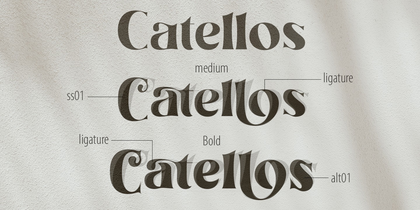 Beispiel einer Catellos Medium Italic-Schriftart